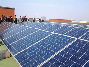 绍兴市规模最大商业光伏发电项目成功并网发电